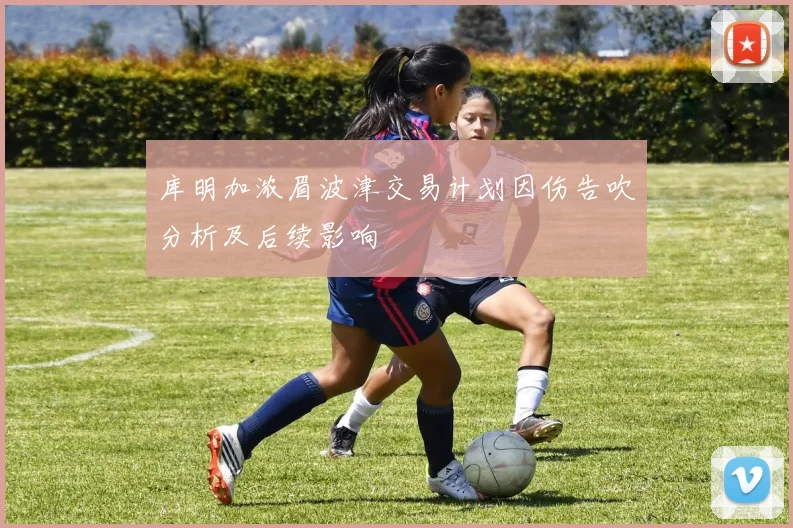 库明加浓眉波津交易计划因伤告吹分析及后续影响